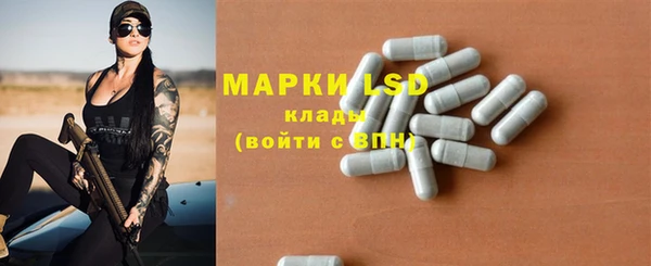 PSILOCYBIN Горнозаводск