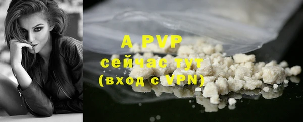 2c-b Горняк