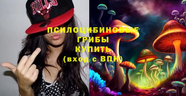 PSILOCYBIN Горнозаводск