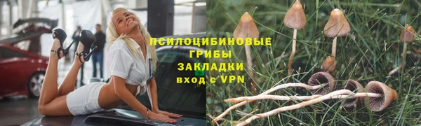 2c-b Горняк