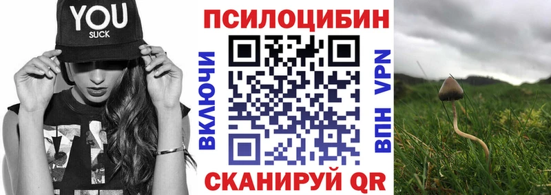 продажа наркотиков  Якутск  Псилоцибиновые грибы GOLDEN TEACHER 